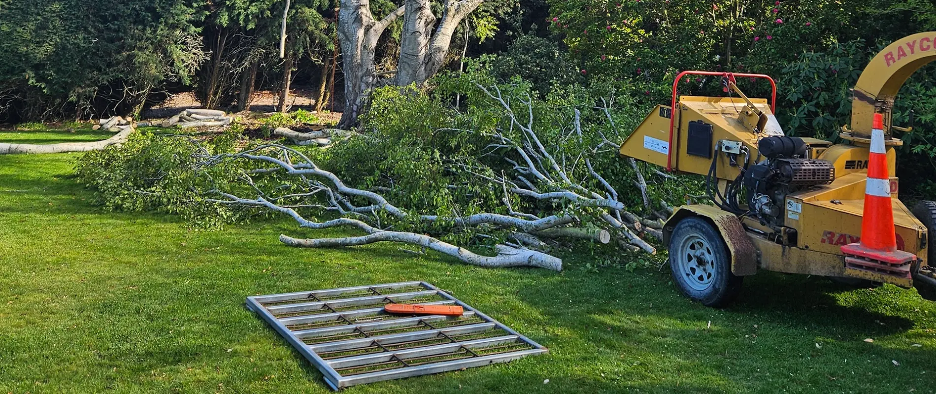 Contact - Tree Technician